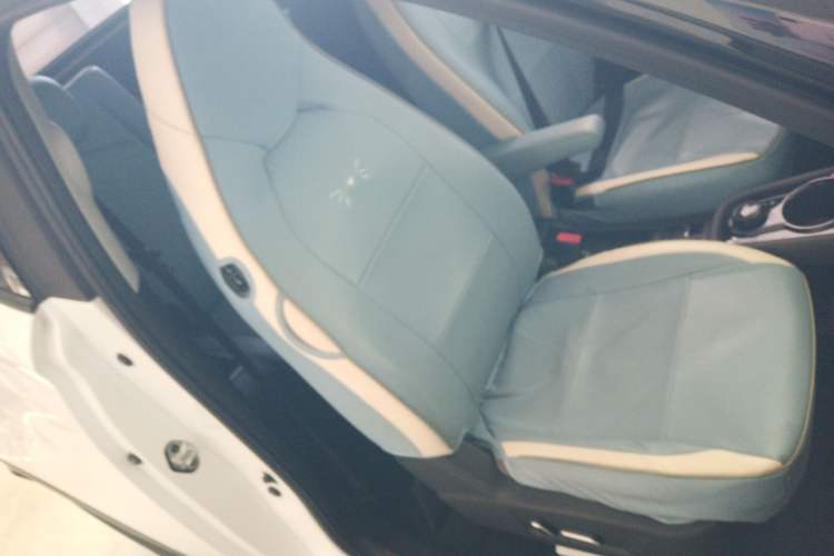 Used Chery Little Ant 2022 Sweet Pink Edition Half-Sugar Version Lithium Iron Phosphate 30 kW 301 km
