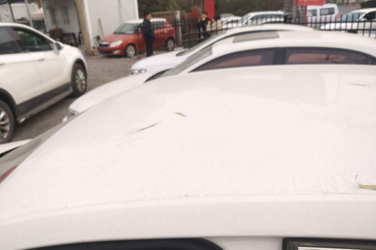 Used Skoda Octavia 2017 1.6L Automatic Front-Wheel Drive Model
