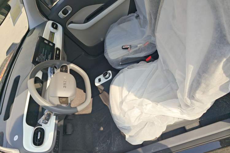 Used  Panda 2025 210km Panda Kart
