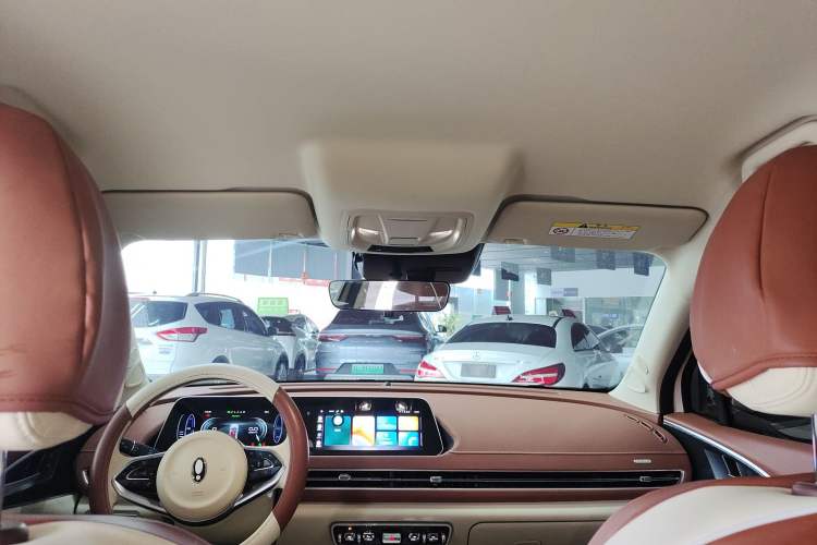 Used ORA Good Cat 2023 401 km Standard Range Luxury Version Lithium Iron Phosphate
