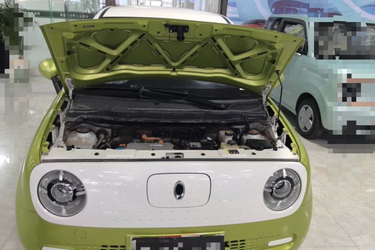 Used ORA Black Cat 2021 301 km Basic Version
