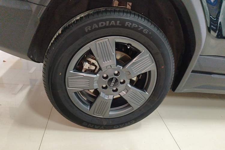 Used  03 2024 501km Two-Wheel Drive Long-Range Version
