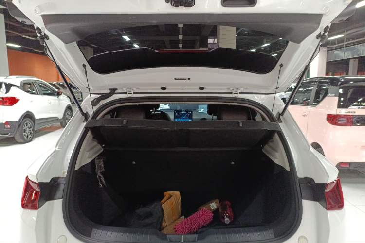 Used BYD e2 2021 Luxury Model
