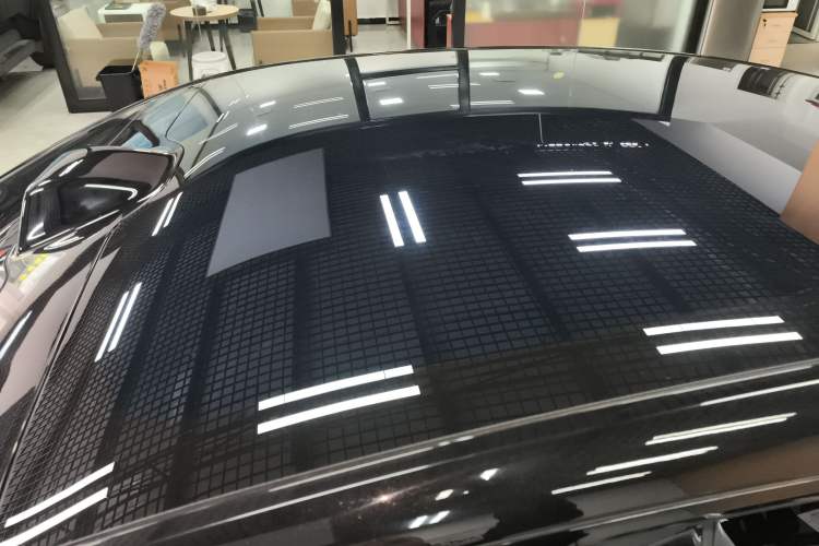 Used  06 2025 Ultra Pure Electric Edition
