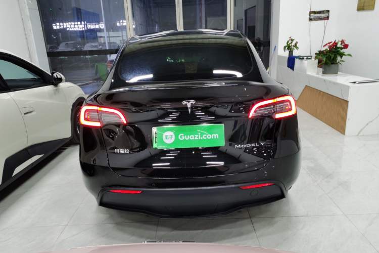 Used Tesla Model Y 2021 Long-Range All-Wheel-Drive Version
