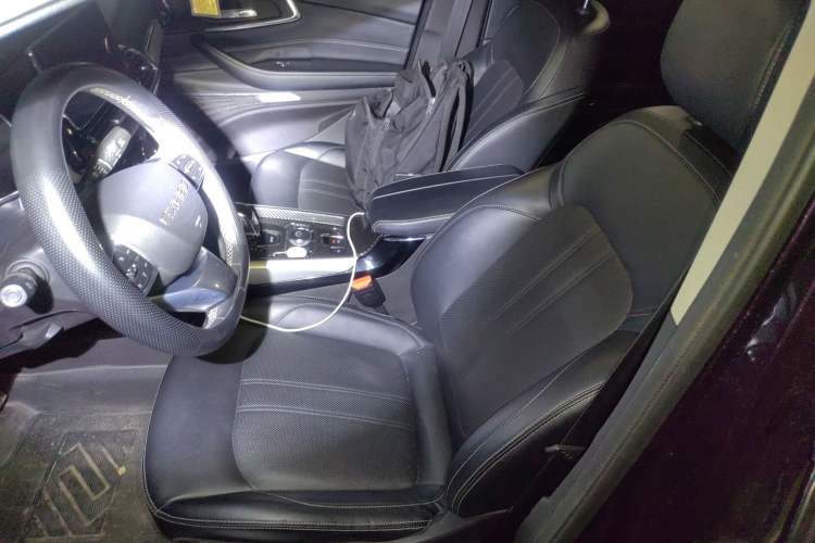 Used  Lingyun 2019 1.6T Two-Wheel Drive Diamond Edition
