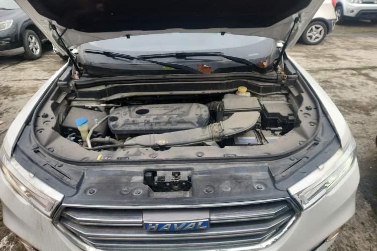 Used Haval H6 2017 Blue Label 2.0T Automatic Two-Wheel Drive Smart Edition
