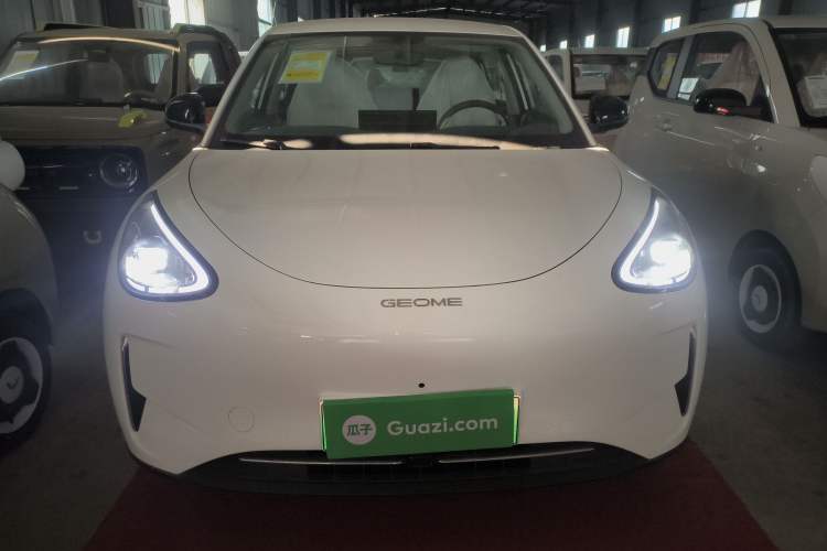 Used  Geome 2025 310km Dream Edition