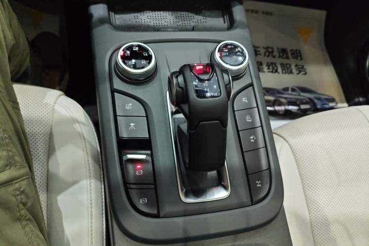 Used Tank 300 New Energy 2024 Hi4-T
