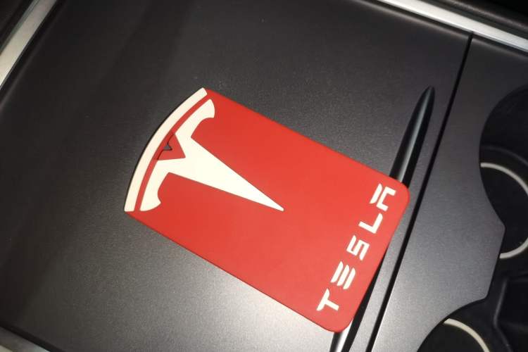 Used Tesla Model Y 2021 Standard Range Rear-Wheel Drive Version
