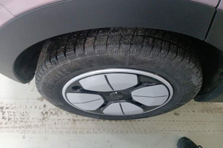 Used  Geome 2025 310km Youth Edition
