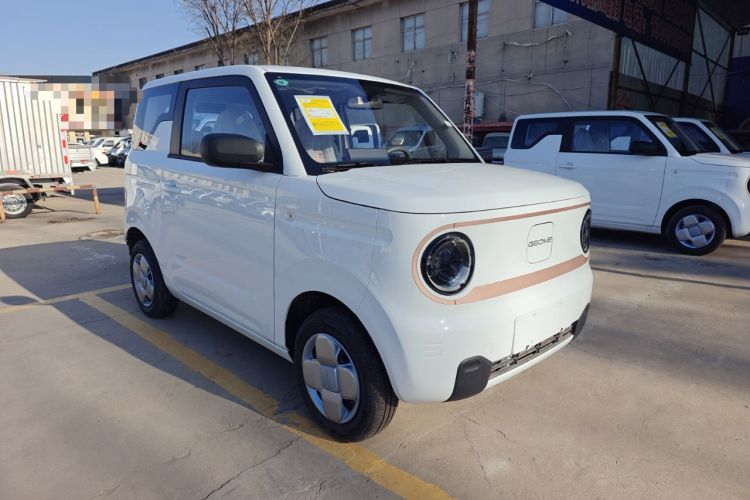 Used  Panda 2024 Panda Mini 200km Endurance Bear