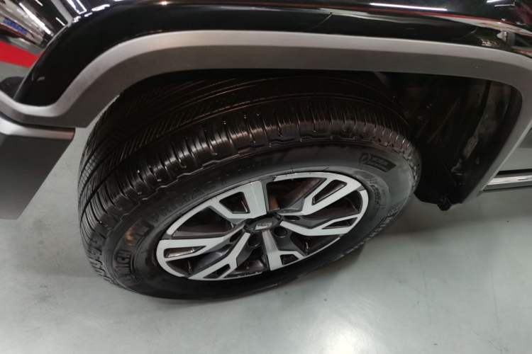 Used Tank 300 2024 2.0T Crosser
