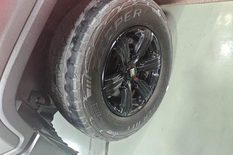 Used Tank 300 2021 Off-Road Edition 2.0T Conqueror