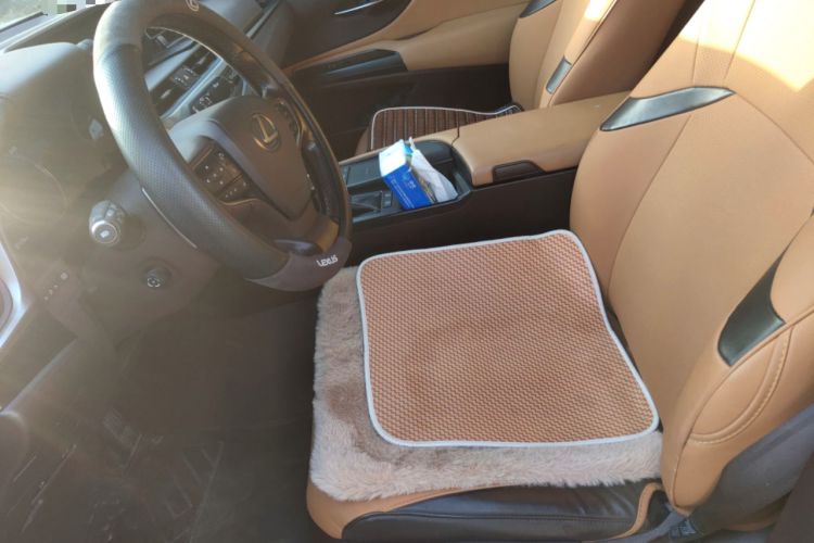 Used Lexus ES 2020 200 Excellence Edition
