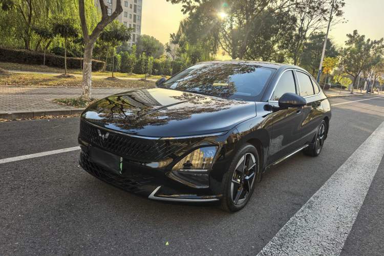 Used Wuling Xingguang 2024 Co-Creation Edition 150 Advanced Model