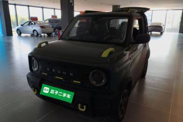 Used Geely Galaxy Panda 2024 200km Panda Rider