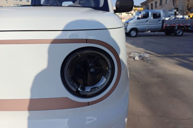 Used  Panda 2024 Panda Mini 200km Endurance Bear