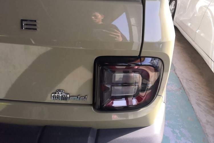 Used  Panda 2024 200km Panda Rider
