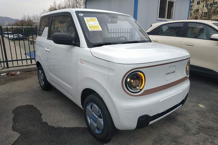 Used  Panda 2024 Panda Mini 200km Endurance Bear
