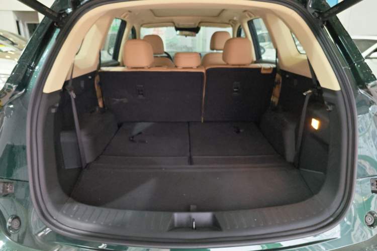 Used  E5 PLUS 2025 120km Standard Travel Custom Edition 7 Seats
