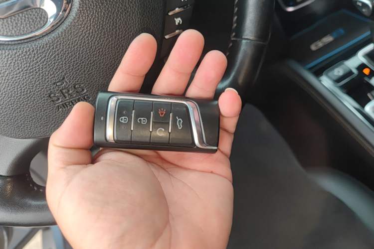 Used GAC Trumpchi GS8 2017 320T Two-Wheel Drive Luxury Smart Connectivity Version (7 Seats)
