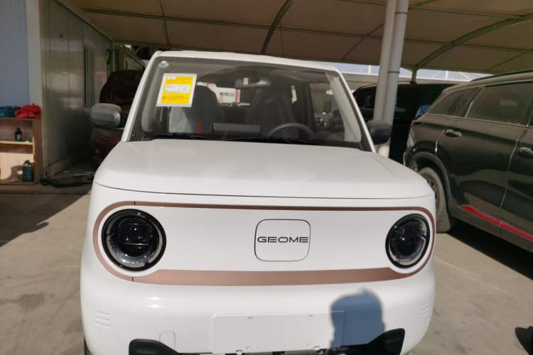 Used  Panda 2024 Panda Mini 200km Endurance Bear
