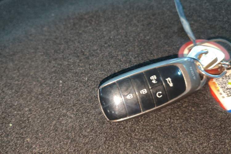 Used AION Y 2022 70 Enjoyment Edition Lithium Iron Phosphate
