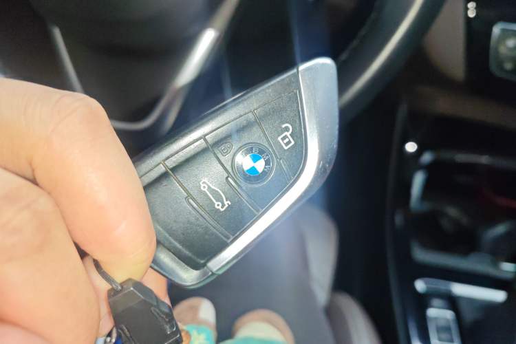 Used BMW X1 New Energy 2019 xDrive25Le Luxury Model