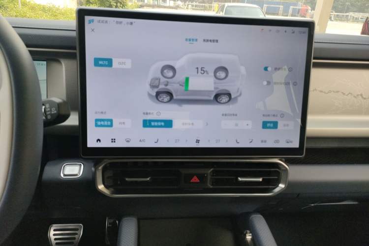 Used  Shanhai T2 2024 C-DM 208KM Mountain & Wilderness Edition
