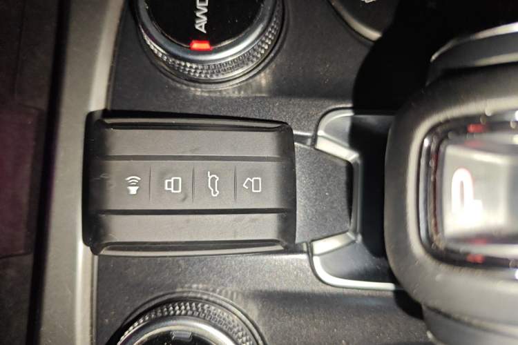 Used Tank 300 2021 City Edition 2.0T—Truly Stylish