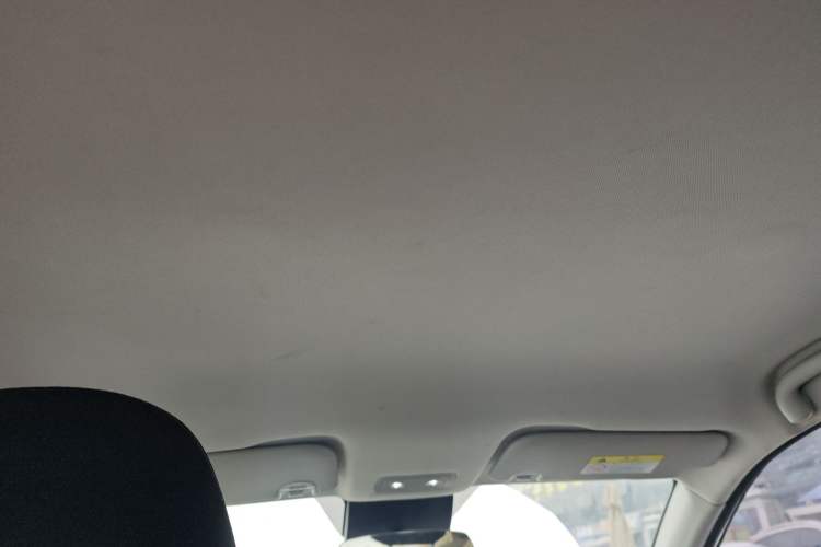 Used NETA V 2021 Standard Range Entertainment Edition