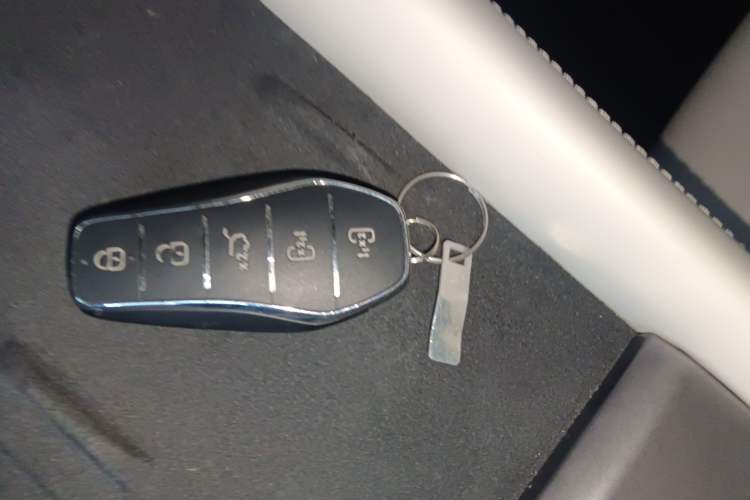 Used BYD Xia 2025 DM-i 1.5T 180km Excellence Model
