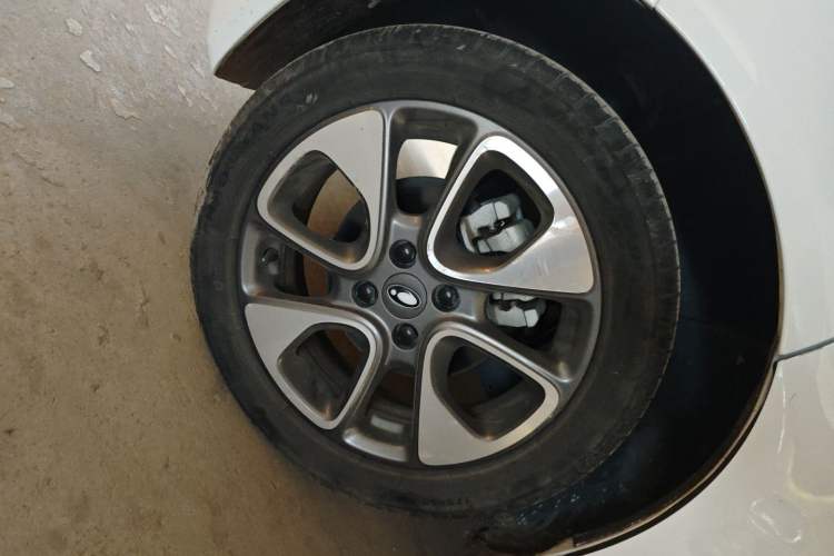 Used ORA White Cat 2022 Xiaoyue Mao Edition 360 km Luxury Model Lithium NMC
