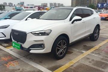 Used Haval F5 2019 National Trend Edition 1.5T i-Type China VI Standard