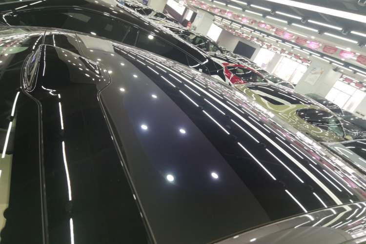 Used  06 2025 Max All-Electric Version
