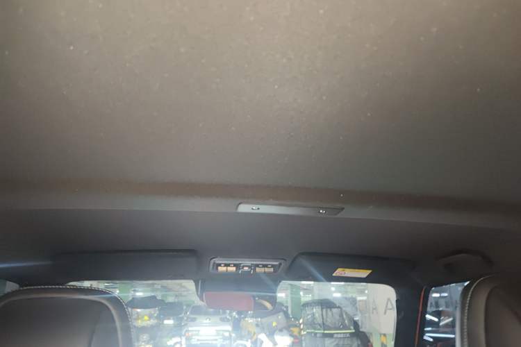 Used  V23 2025 501 Four-Wheel Drive Advanced Version
