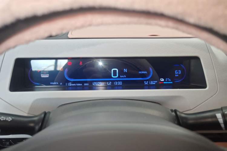 Used  Panda 2023 Panda Mini 200km Endurance Bear
