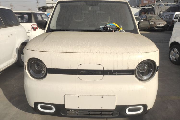 Used  Panda 2025 210 km – Yuanqi Bear
