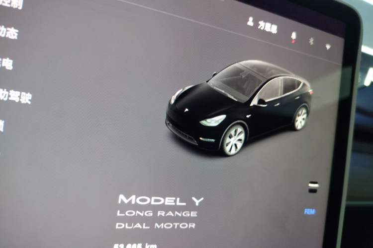 Used Tesla Model Y 2022 Revised Version Long-Range All-Wheel Drive