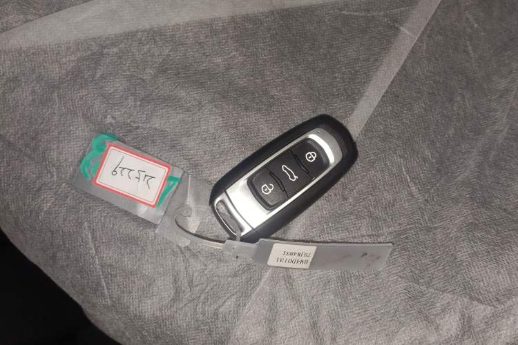 Used  Panda 2024 Panda Mini 200km Endurance Bear
