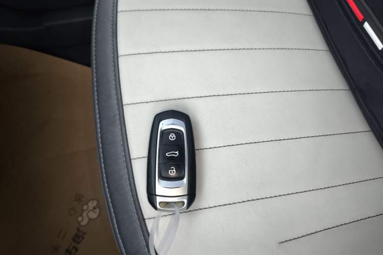 Used  Panda 2024 200km Panda Kart
