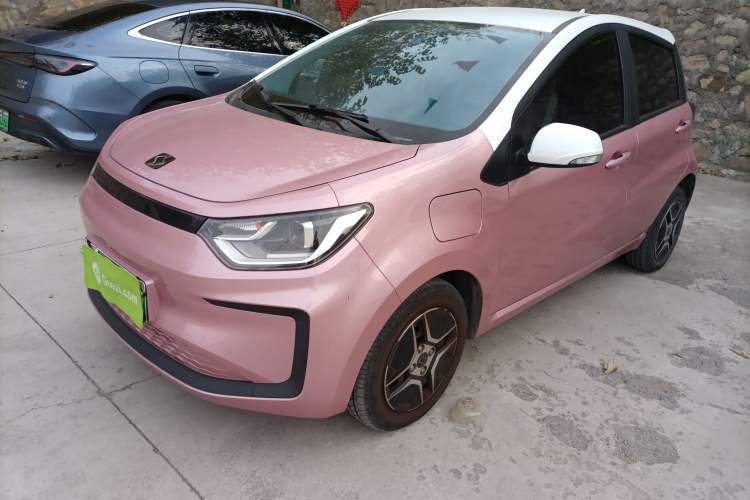 Used SOL E10X 2022 Flower Fairy Design Four-Leaf Clover
