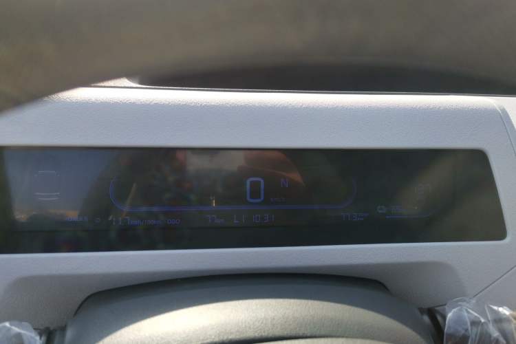 Used  Panda 2024 Panda Mini 200km Endurance Bear
