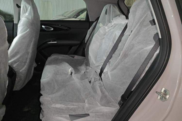 Used  Geome 2026 Model 310km Youth Edition
