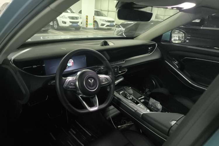 Used VOYAH FREE 2021 Four-Wheel Drive Standard Range-Extended Exclusive Luxury Package
