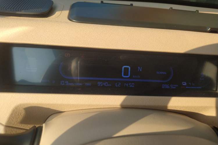 Used  Panda 2024 200km Panda Kart
