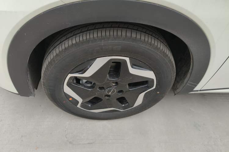 Used BYD Dolphin 2025 Smart Drive Version 420 km Freedom Edition
