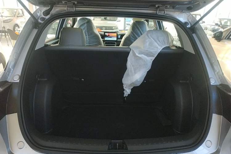 Used  Geome 2025 310km Youth Edition