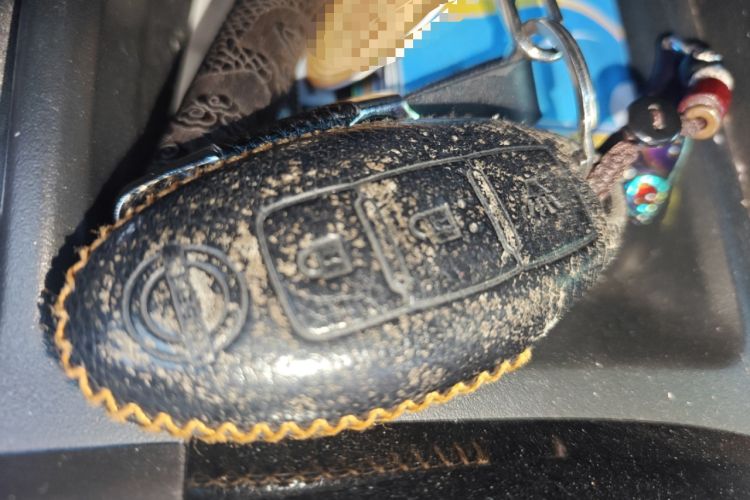 Used Nissan X-Trail 2019 2.0L CVT Smart Connect Comfort Edition 2WD